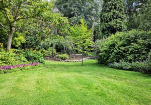 Optimiser l'expérience du jardin à Les Roches-l'Eveque